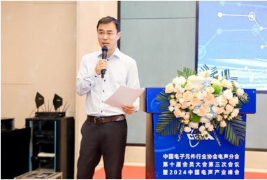 PG电子平台中国电子元件行业协会电声分会第十届会员大会第三次会议暨2024中国电声产业峰会成功举办(图2)