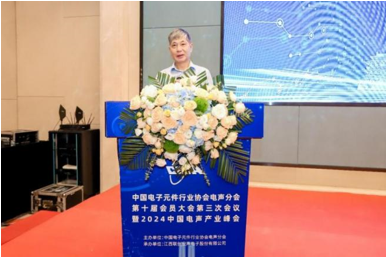 PG电子平台中国电子元件行业协会电声分会第十届会员大会第三次会议暨2024中国电声产业峰会成功举办(图3)