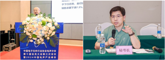 PG电子平台中国电子元件行业协会电声分会第十届会员大会第三次会议暨2024中国电声产业峰会成功举办(图4)