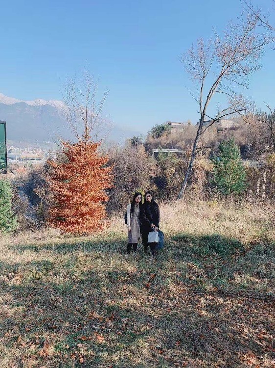 德国电子元器件展展会搭建Electronica2024