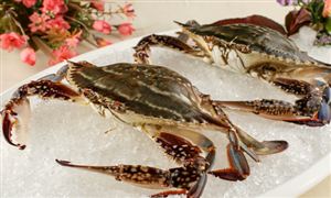 电声器件行业市场运营现状及趋势前景(图3)