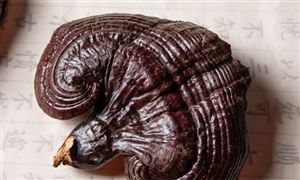 电声器件行业市场运营现状及趋势前景(图5)